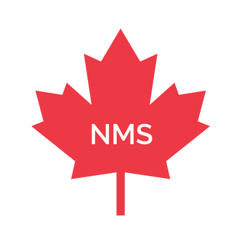 NMS Section 055100 (French) - Échelles et escaliers métalliques